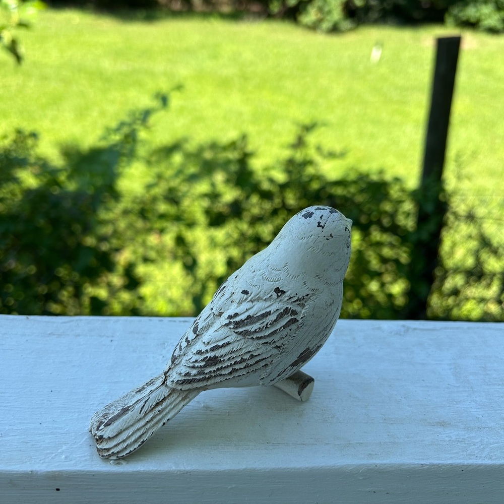 Bird - Picture 9 of 12